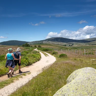 Hikers on a trail