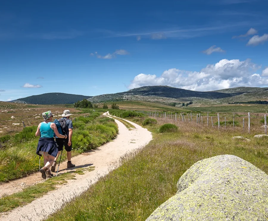 Hikers on a trail