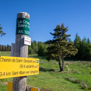 Way of St. James to Compostela