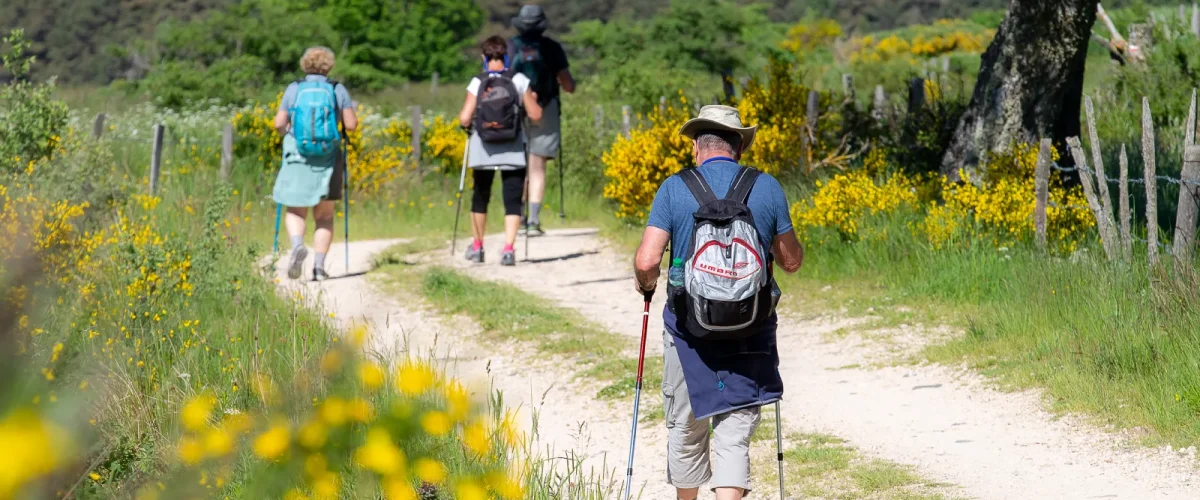 Hikers on the Way of St. James