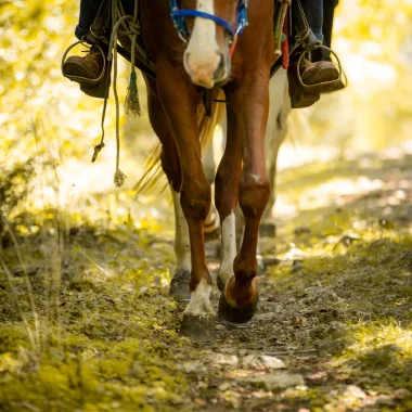 Horseback riding