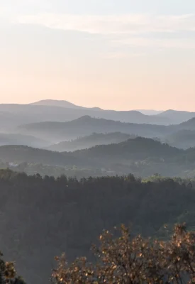Panoramic view of the Cévennes valleys.