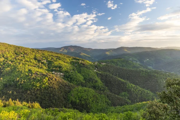 Panoramic view of the Cévennes valleys