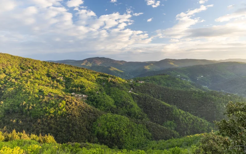 Panoramic view of the Cévennes valleys