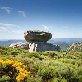 Granite boulder landscape on Mont Lozère