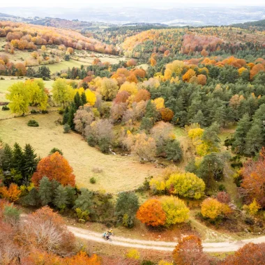 Autumn landscape