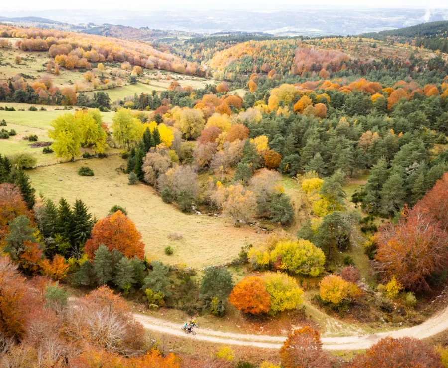 Autumn landscape